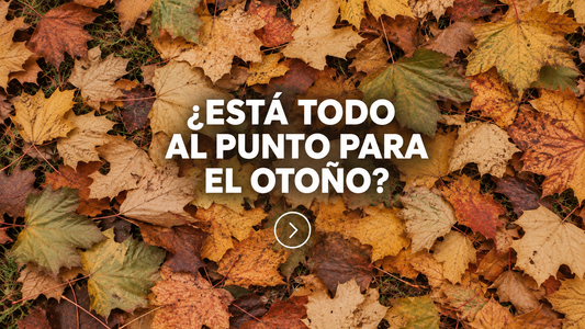 ¿Tu jardín está listo? Claves para la poda de Otoño