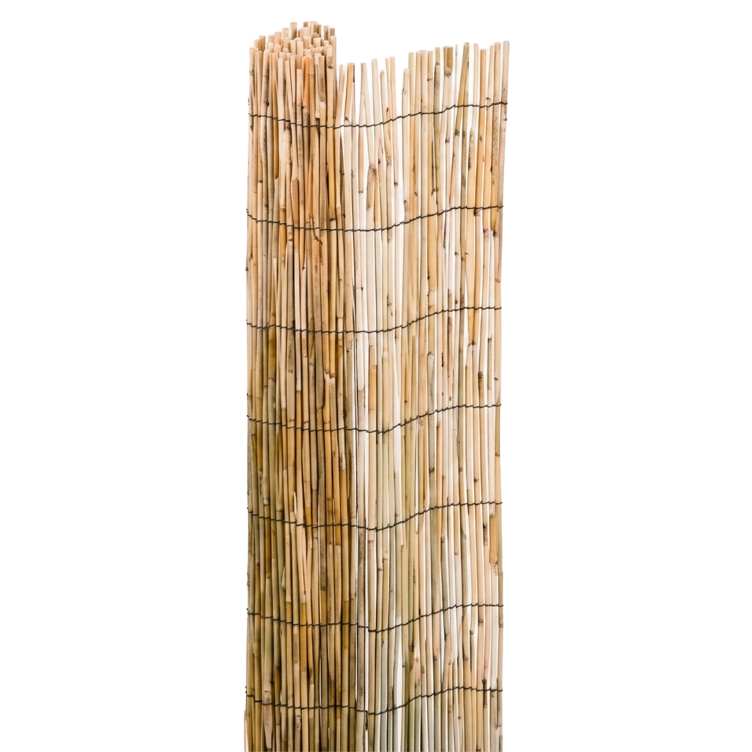 Rollo de cañizo natural de bambu pelado Natuur 104201 para terrazas y vallas.