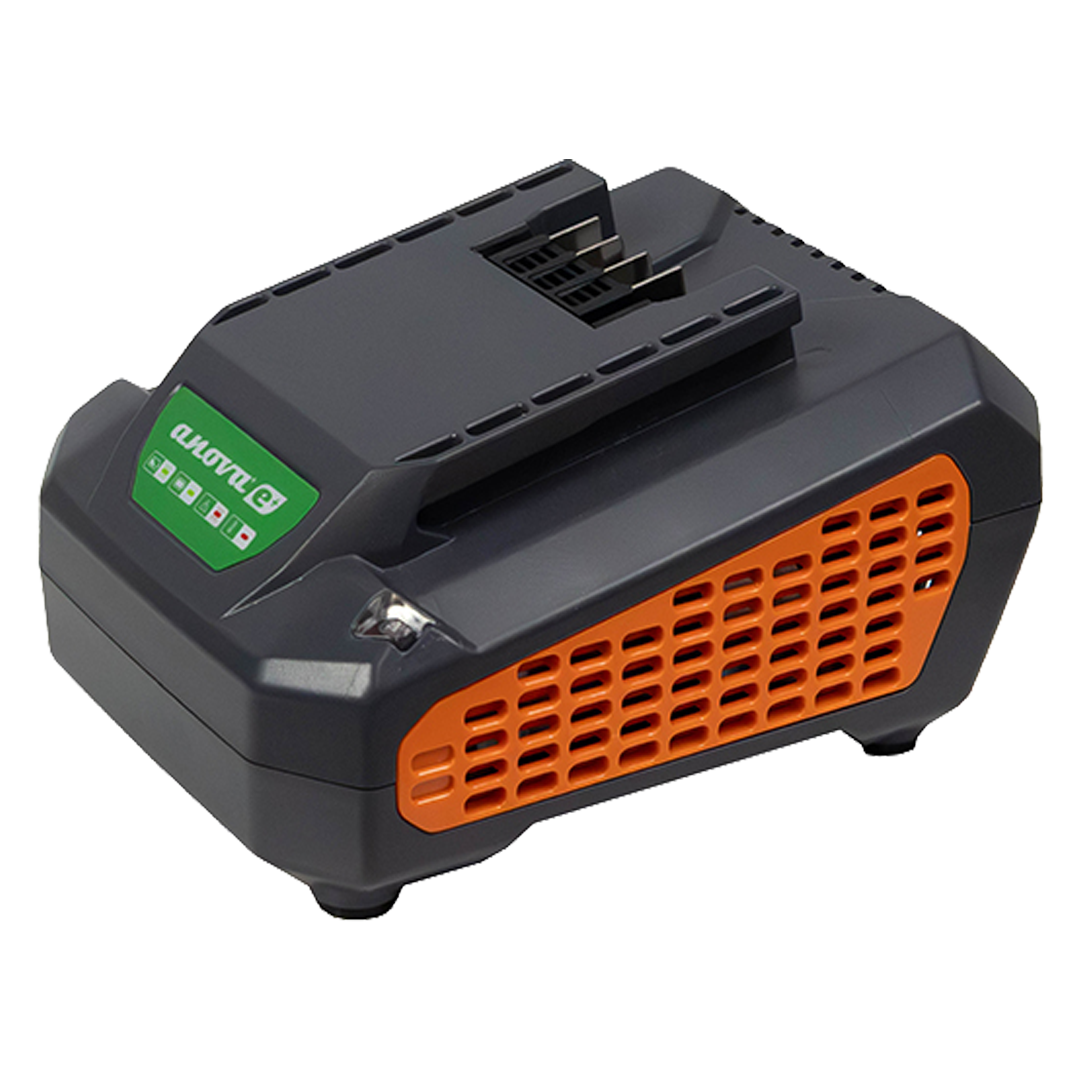 Cargador de batería 60V 2,5A Anova E60CH25 ref E60CH25.
