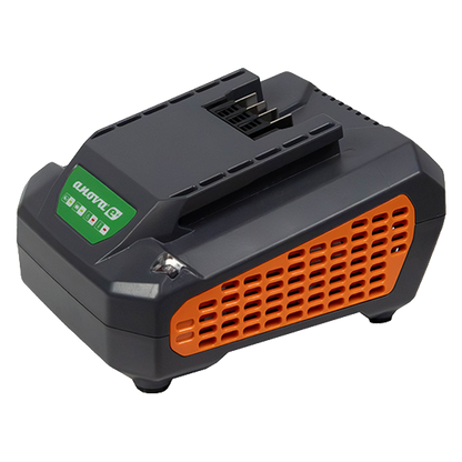 Cargador de batería 60V 2,5A Anova E60CH25 ref E60CH25.