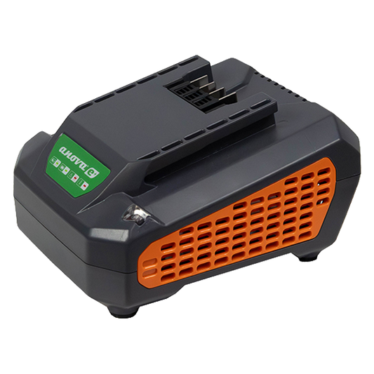Cargador de batería 60V 2,5A Anova E60CH25 ref E60CH25.