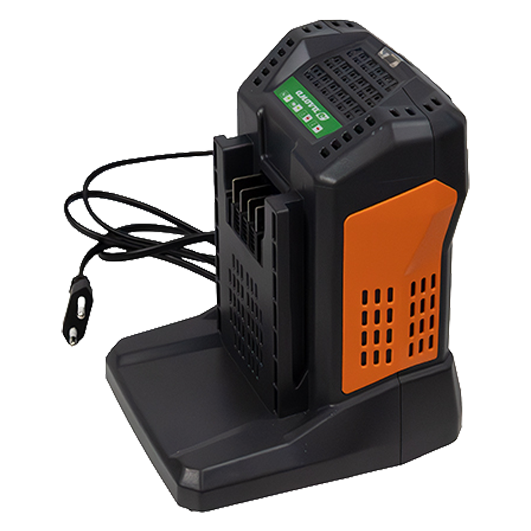Cargador rápido de batería Anova E60CH55 60V 5,5A ref E60CH55.