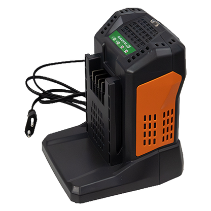 Cargador rápido de batería Anova E60CH55 60V 5,5A ref E60CH55.