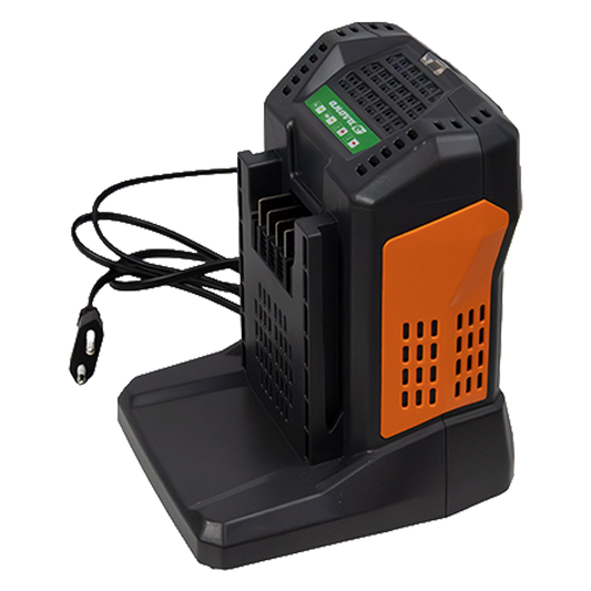 Cargador rápido de batería Anova E60CH55 60V 5,5A ref E60CH55.
