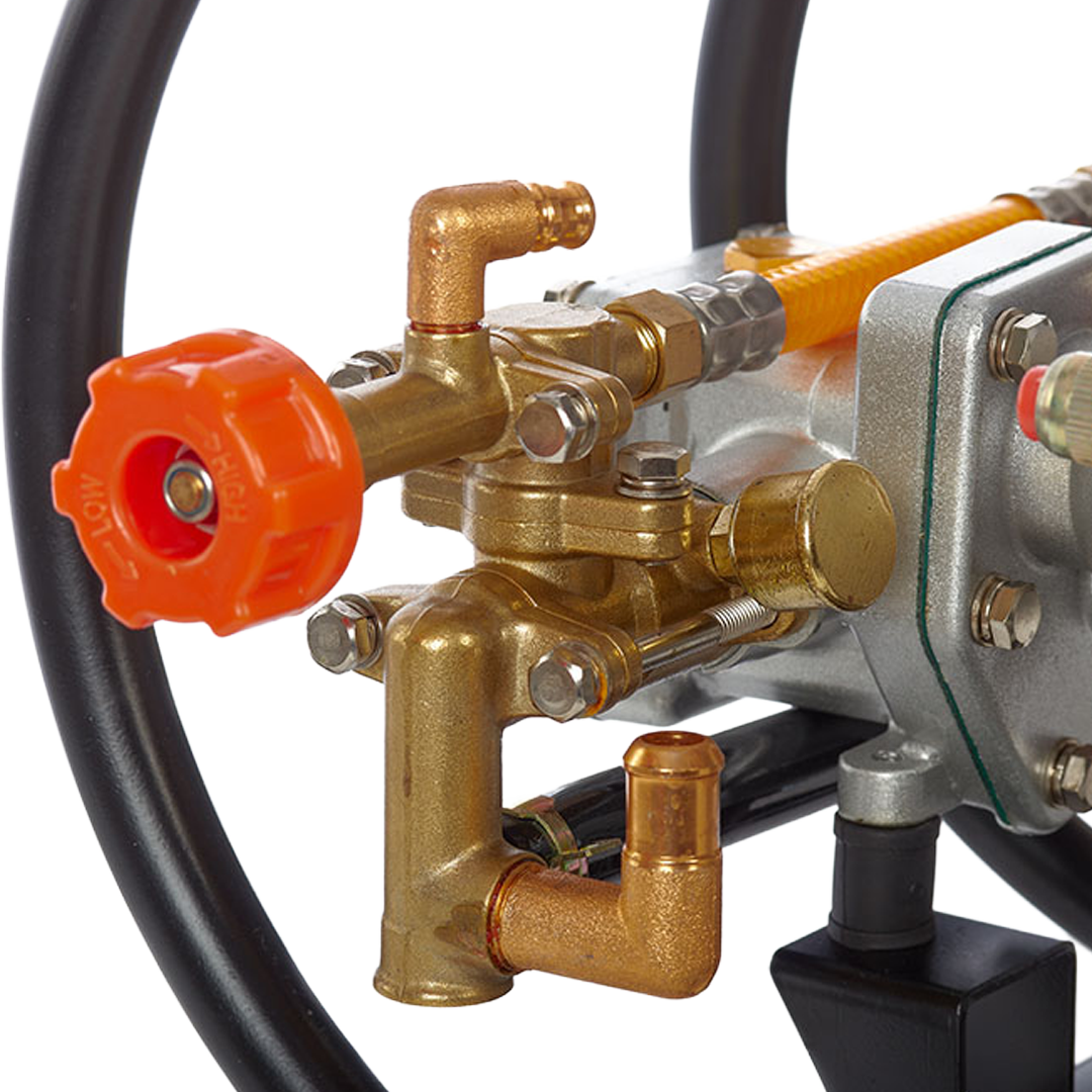Detalle del motor de 2 tiempos y mandos de regulación del motopulverizador Anova.